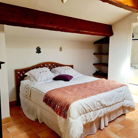 La Chouette De Camargue Daire Aigues-Mortes Dış mekan fotoğraf